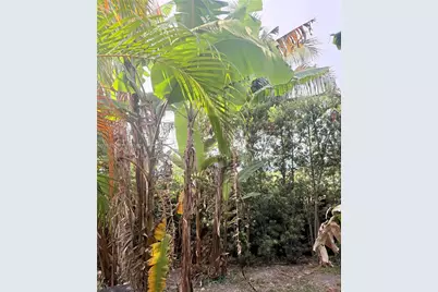 19331 NW 57th Ct, Miami, FL 33015 - Photo 33