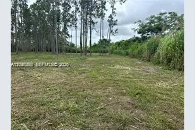 19440 SW 332 St, Homestead, FL 33034 - Photo 3