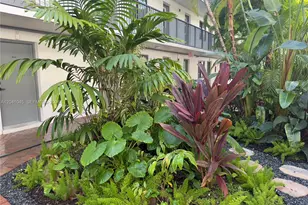 3242 Mary St, Miami, FL 33133 - Photo 3