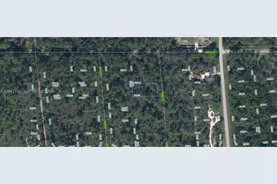 722 Ronnie Lane, Lake Placid, FL 33852 - Photo 1