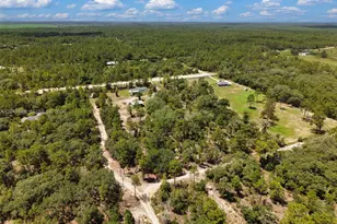 12251 SE 66th Pl, Other City - In The State Of Florida, FL 32668 - Photo 7