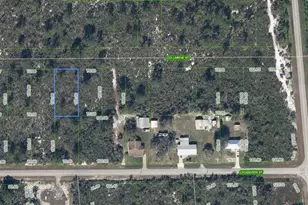 1507 Columbine St, Lake Placid, FL 33852 - Photo 1