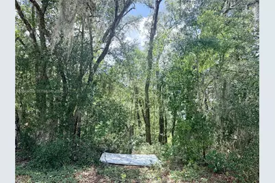 7932 N Elkcam Boulevard, Citrus Springs, FL 34433 - Photo 1