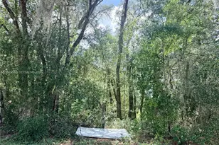 7932 N Elkcam Blvd, Citrus Springs, FL 34433 - Photo 1