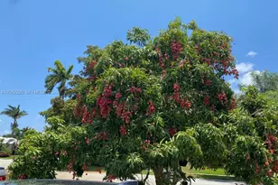 1251 SW 11th Terrace, Boca Raton, FL 33486 - Photo 3