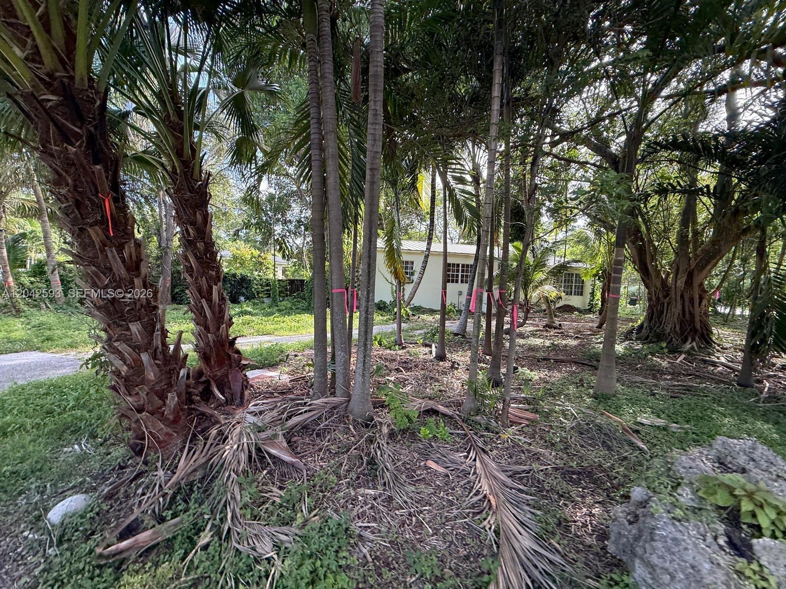 6600 SW 64th Ct - 6600 SW 64th Ct, South Miami, FL 33143 Luxury Property | Jose Angel Pina