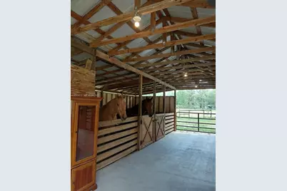 14810 NW 185 St, Ocala, FL 32696 - Photo 3