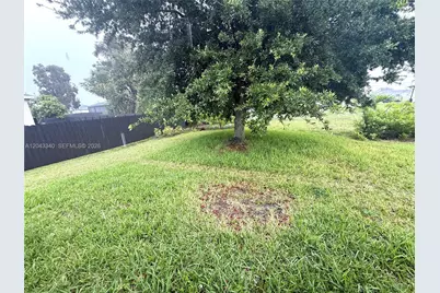 313 NW 16 Pl, Cape Coral, FL 33993 - Photo 31