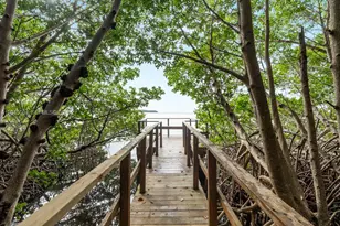 6230 Paradise Point Dr, Palmetto Bay, FL 33157 - Photo 43