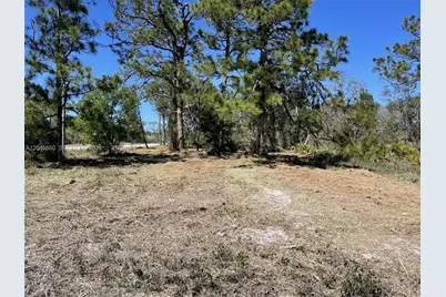 3204 Sr 66, Sebring, FL 33185 - Photo 7