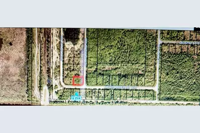 Merganser St SW & Slimtwig Ave, Palm Bay, FL 32908 - Photo 3