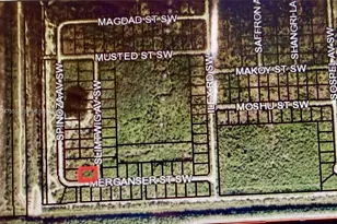 Merganser St SW & Slimtwig Ave, Palm Bay, FL 32908 - Photo 1