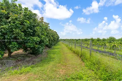 22401 SW 320th St, Homestead, FL 33030 - Photo 11