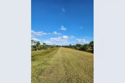 18717 NW 258 St, Okeechobee, FL 34972 - Photo 3