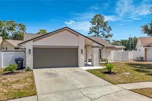 10813 Roundview Ln, Tampa, FL 33624 - Photo 3