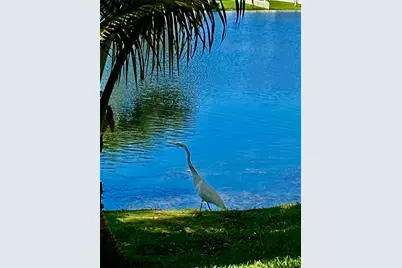 10231 Buttercup Ct, Pembroke Pines, FL 33026 - Photo 29