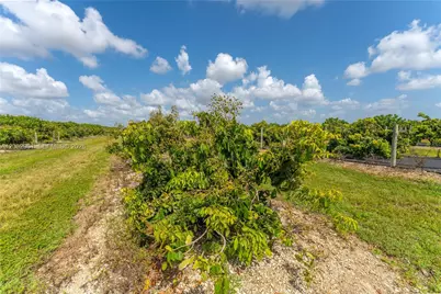 316Xx SW 228th Ave, Homestead, FL 33030 - Photo 13
