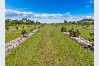 316Xx SW 228th Ave, Homestead, FL 33030 - Photo 9