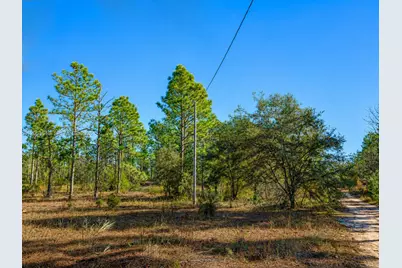 130 Indianapolis St, Palatka, FL 32640 - Photo 5