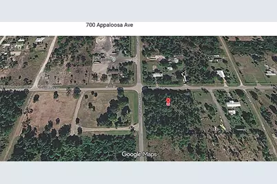 700 Appaloosa, Clewiston, FL 33440 - Photo 3