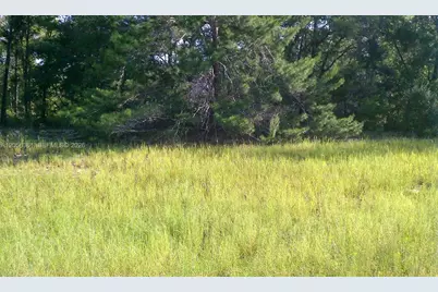 0 0, Ocala, FL 34471 - Photo 7