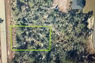 108 NE Dominica Ave, Lake Placid, FL 33852 - Photo 1
