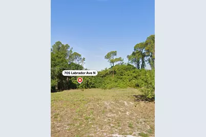 705 Labrador Ave N, Lehigh Acres, FL 33971 - Photo 1
