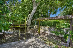 3338 Cleveland St, Hollywood, FL 33021 - Photo 23