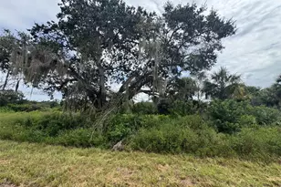 621 Trumpet Dr, Labelle, FL 33935 - Photo 1