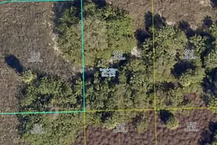 360 Neighborly Rd, Labelle, FL 33935 - Photo 1