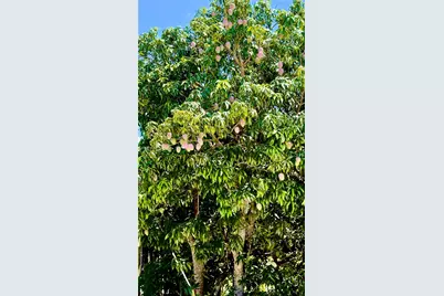 27803 SW 172nd Pl, Homestead, FL 33031 - Photo 47