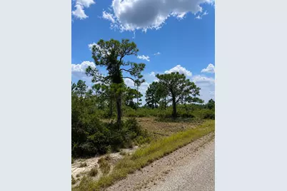 3554 Mariana Ave, Lake Placid, FL 33852 - Photo 3