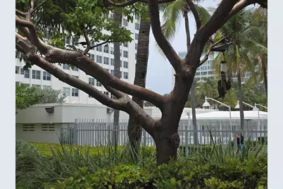 2899 Collins Ave #940, Miami Beach, FL 33140 - Photo 25