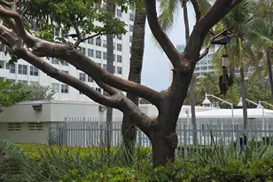 2899 Collins Ave, Miami Beach, FL 33140 - Photo 25