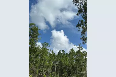 3525 43 Ave, N.E., Naples, FL 34120 - Photo 3