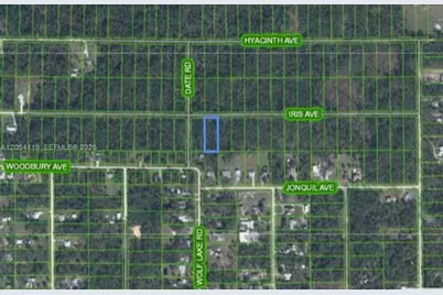 1141 Iris Ave, Sebring, FL 33875 - Photo 1