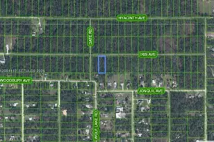 1141 Iris Ave, Sebring, FL 33875 - Photo 1