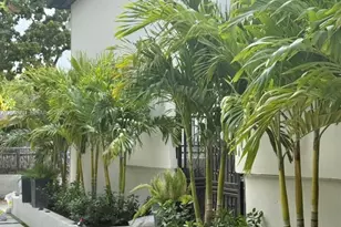 7521 NE 2nd Ct, Miami, FL 33138 - Photo 47