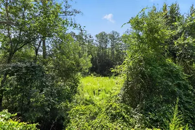 119 Ramsey Dr, Other City - In The State Of Florida, FL 32666 - Photo 3