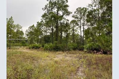 2321 Macarthur Ave, Lehigh Acres, FL 33920 - Photo 3