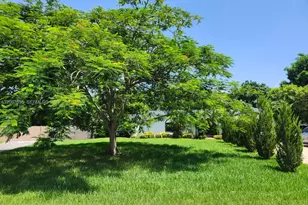 18611 SW 61st Ct, Southwest Ranches, FL 33332 - Photo 17