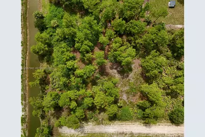 1201 Louis Ave, Lehigh Acres, FL 33972 - Photo 3