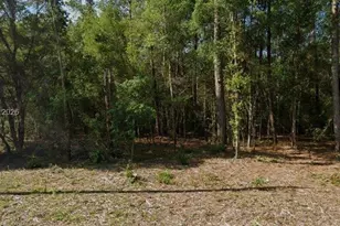 8742 N Nobleton Way, Citrus Springs, FL 34434 - Photo 1