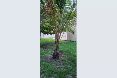 4221 SW 153rd Ave, Miramar, FL 33027 - Photo 33