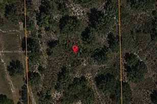 20477 NW 262nd St, Okeechobee, FL 34972 - Photo 1