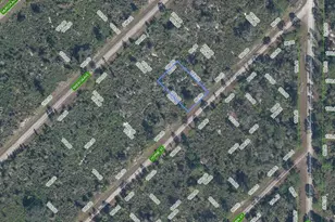 3517 Horne St, Lake Placid, FL 33852 - Photo 1