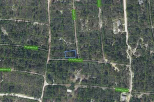 416 Heaven Dr, Lake Placid, FL 33852 - Photo 1
