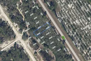 903 County Rd 29, Lake Placid, FL 33852 - Photo 1