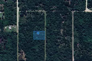 2844 W Twilley, Avon Park, FL 33825 - Photo 1