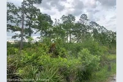 615 Wildflower Street, Lake Placid, FL 33852 - Photo 7
